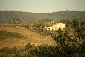 Tuscan farm landscape in Montespertoli, Florence, null