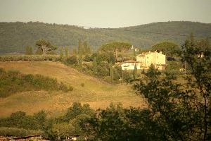 Tuscan farm landscape in Montespertoli, Florence, null