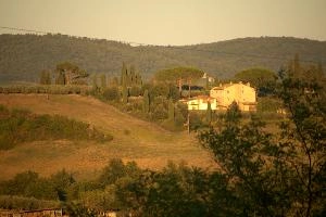 Tuscan farm landscape in Montespertoli, Florence, null
