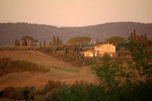 Tuscan farm landscape in Montespertoli, Florence, null