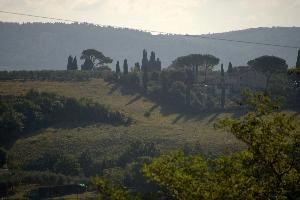 Tuscan farm landscape in Montespertoli, Florence, null