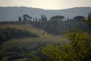 Tuscan farm landscape in Montespertoli, Florence, null