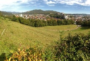 Panoramic view of Aaburg, Canton of Aargau, showing the castle and church, rural, townscape, panorama, landscape, europe, switzerland, solothurn, zofingen, aargau, castle, aarburg, countryside