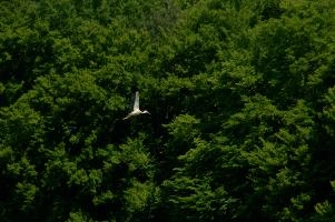 dsc_210767.jpg