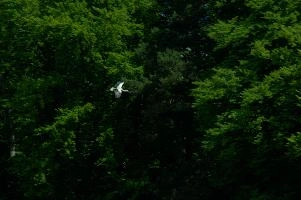 dsc_210770.jpg