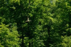 dsc_210775.jpg