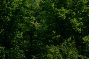dsc_210776.jpg