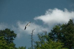 dsc_210779.jpg