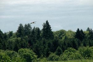 dsc_210791.jpg