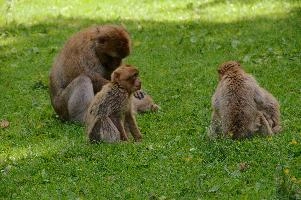 dsc_211004.jpg