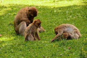 dsc_211005.jpg