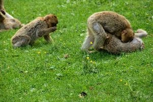 dsc_211014.jpg