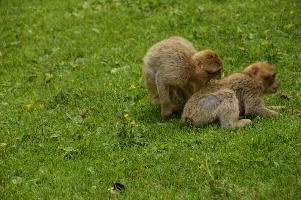 dsc_211017.jpg