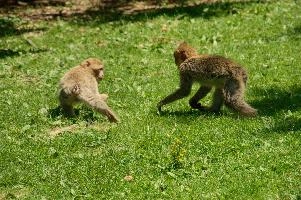 dsc_211021.jpg