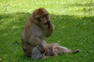 dsc_211024.jpg