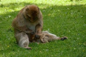 dsc_211029.jpg