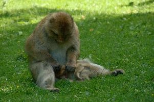 dsc_211030.jpg