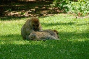 dsc_211031.jpg