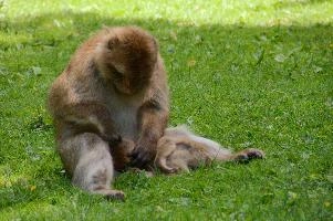 dsc_211033.jpg