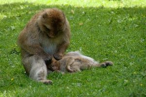 dsc_211034.jpg