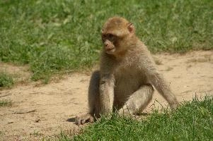 dsc_211036.jpg