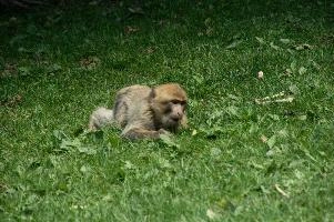 dsc_211043.jpg