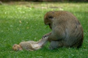 dsc_211057.jpg