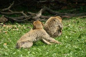 dsc_211061.jpg