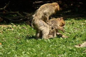 dsc_211062.jpg