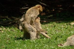 dsc_211063.jpg