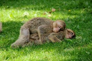 dsc_211090.jpg