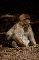dsc_211122.jpg