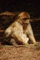 dsc_211123.jpg