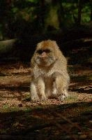 dsc_211125.jpg