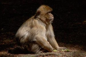 dsc_211128.jpg