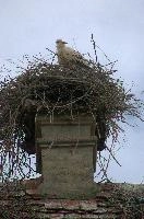 dsc_211212.jpg