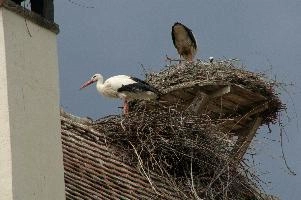 dsc_211314.jpg