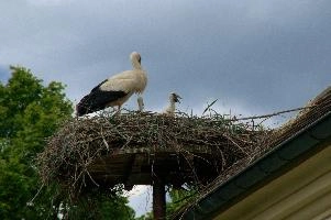 dsc_211362.jpg