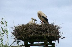dsc_211380.jpg