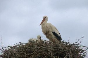 dsc_211382.jpg