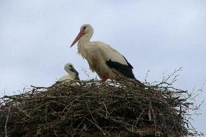 dsc_211392.jpg