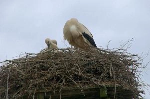 dsc_211400.jpg