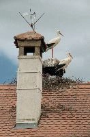 dsc_211430.jpg