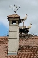 dsc_211433.jpg