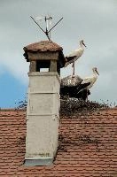 dsc_211434.jpg
