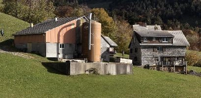 Autumn Forest, amden, building, farm, alps, mountains, switzerland, hut, europe, weesen, farmhouse, agriculture, meadow, exterior