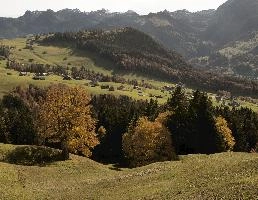 Autumn landscape in Amden, Switzerland, null