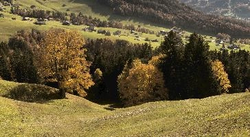 Autumn landscape in Amden, Switzerland, null