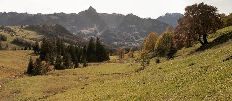 Autumn landscape in Amden, Switzerland, null