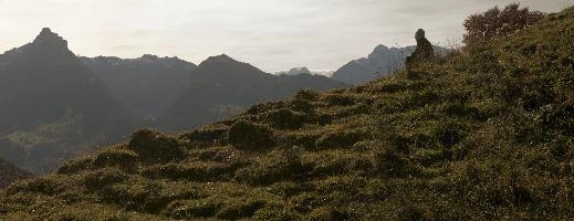 Autumn meadow above Amden, Switzerland, null